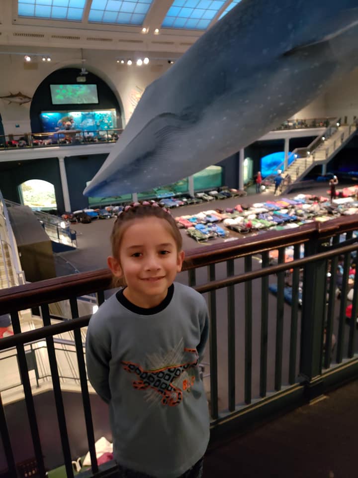 Museums