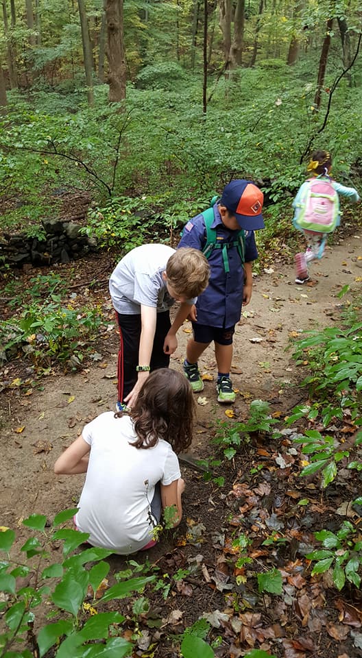 Nature Walks