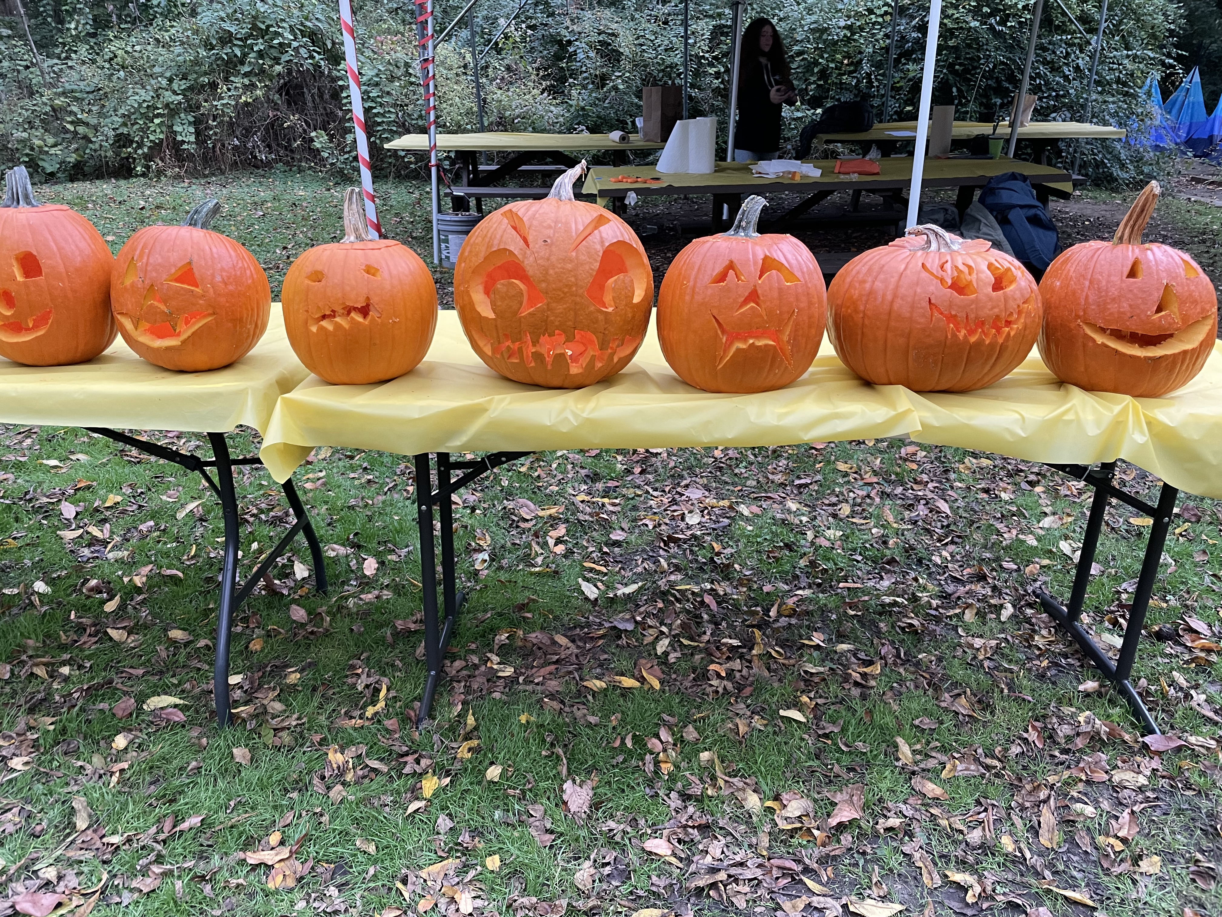 Pumpkin Carving