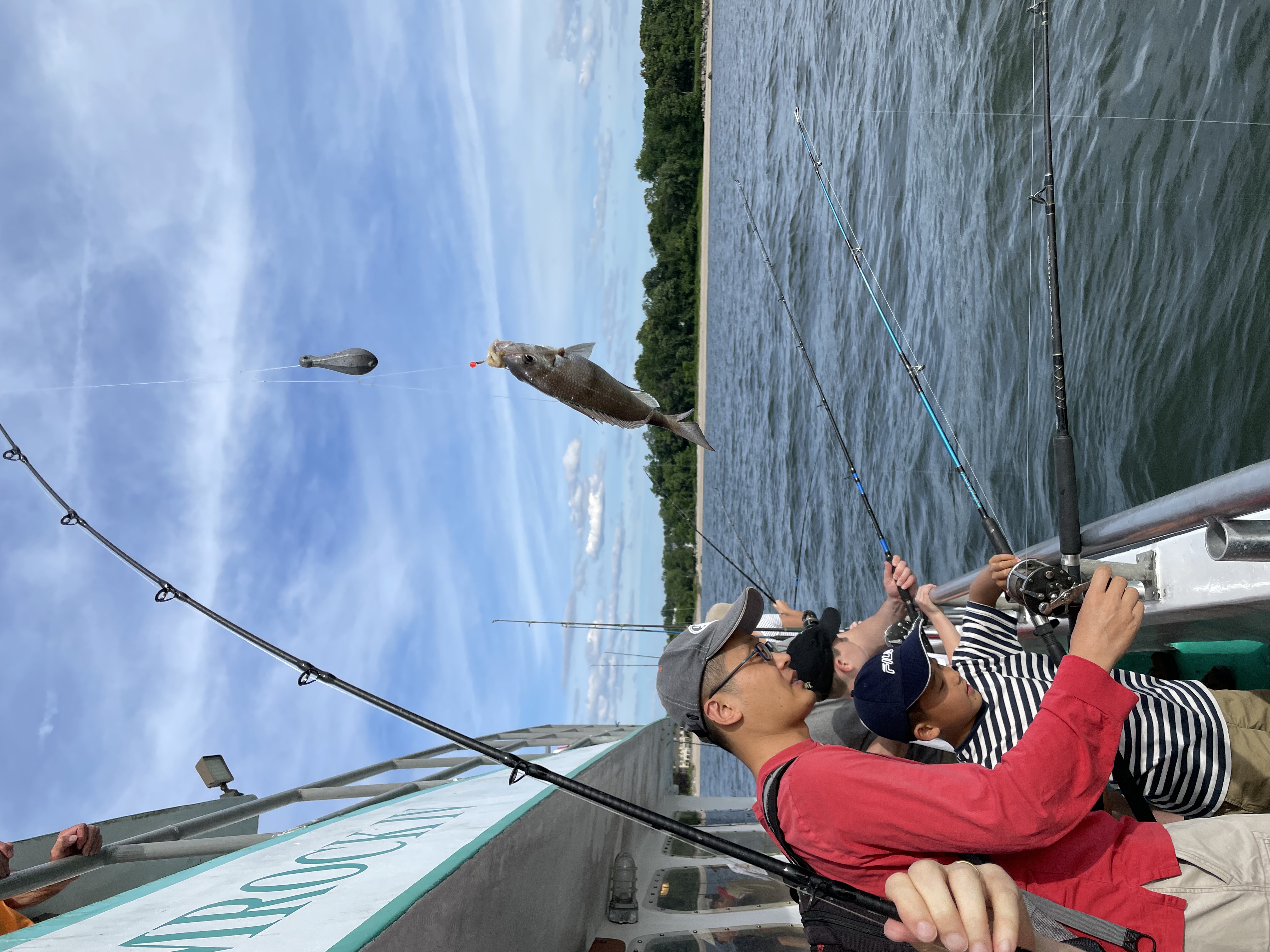 Water Activity